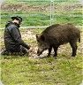 Techniciens animaliers